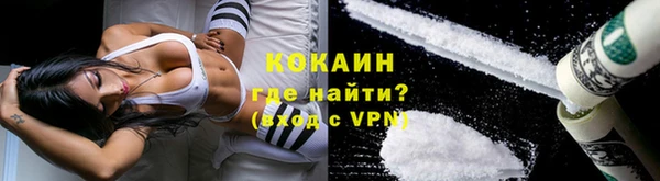 стаф Шадринск