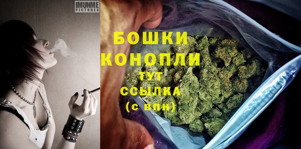 сатива Щигры
