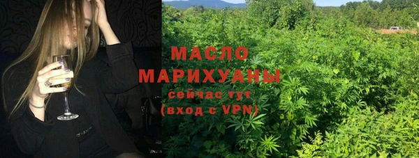 стаф Шадринск