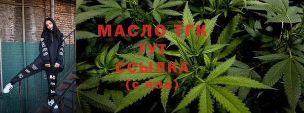 стаф Шадринск